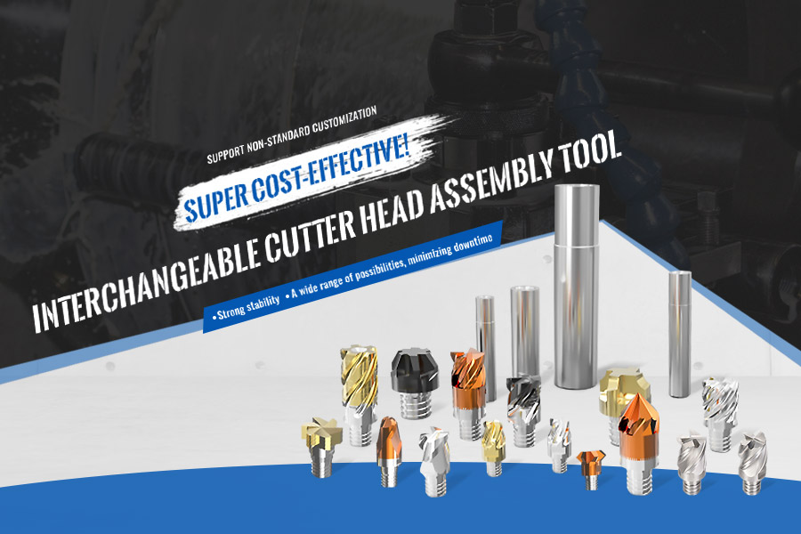 Interchangeable cutter head assembly tool